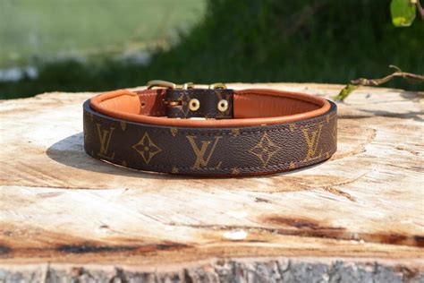 dog collar louis vuitton|louis vuitton dog collar sizes.